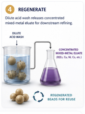 Dilute acid wash releasing a concentrated mixed-metal eluate, with regenerated beads returned for reuse
